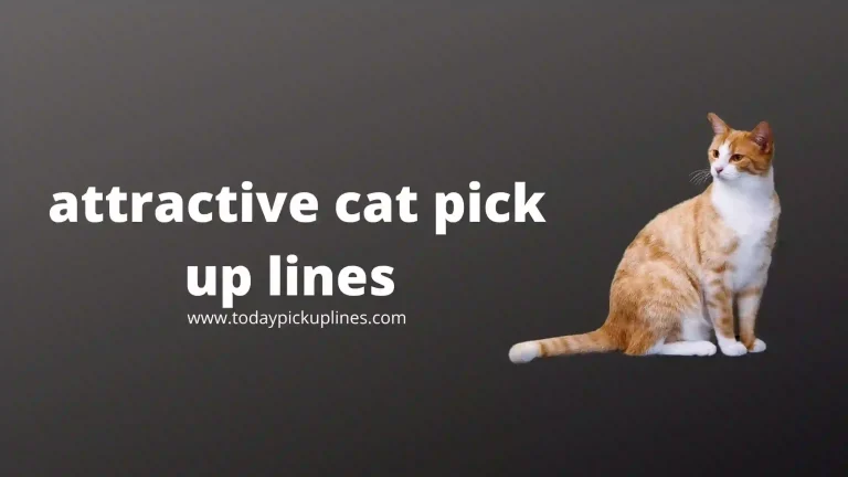 attractive cat pick up lines