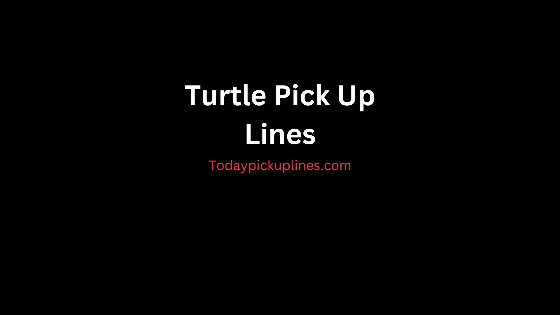 Turtle Pick Up Lines