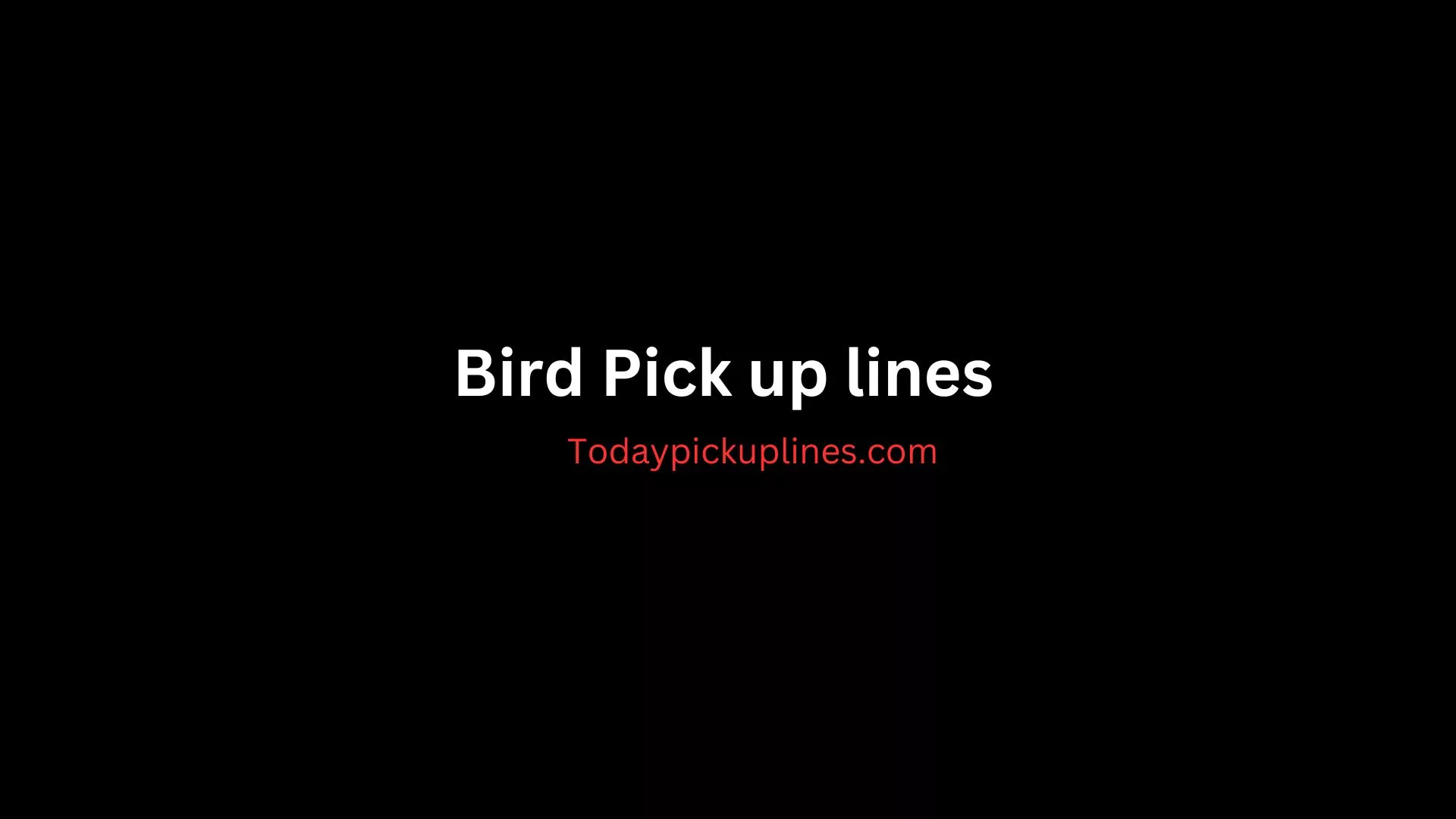 Bird Pick up lines